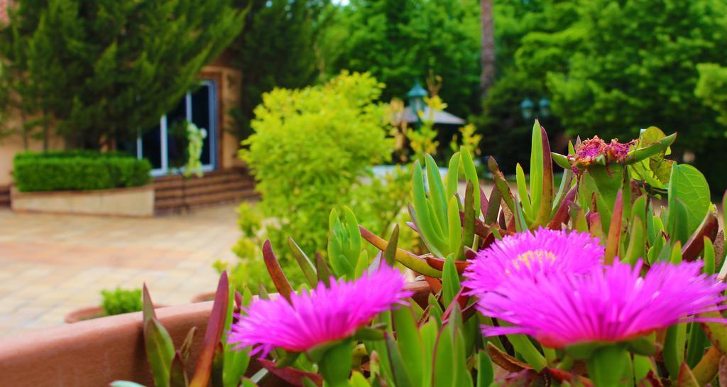 Alambique - Hotel Resort & Spa Fundão Exterior foto